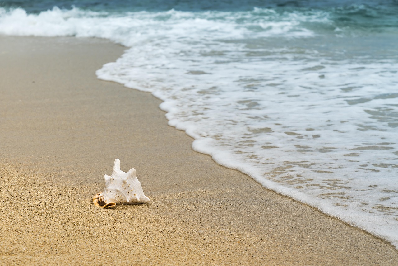 Reading the Tides: A Coastal Skill Worth Learning